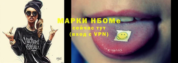 индика Кинешма