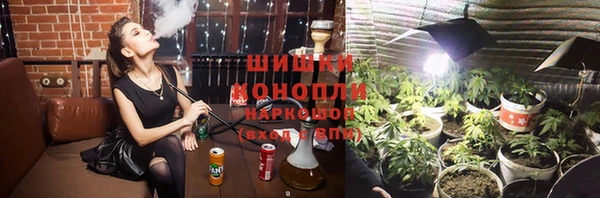 молекула духа Вяземский